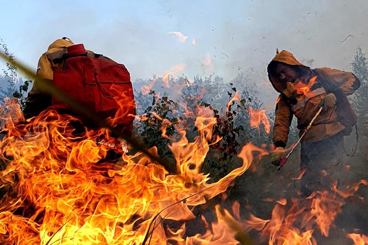 Авиалесоохрана: прогноз по лесным пожарам тревожный. Хакасия в зоне риска